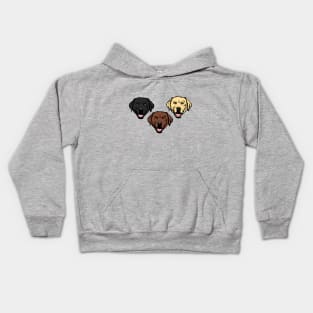 The 3 Labradors Kids Hoodie